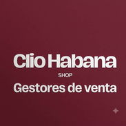 CLIO HABANA BUSCA GESTORES DE VENTA - Img 57267344
