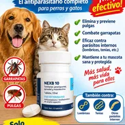 Nexb 10 antiparasitario externo e interno - Img 58350025