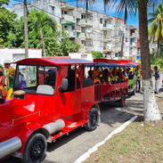 Venta d tren listo para trabajar - Img 56686023