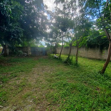 Venta de finca en la lisa me ajusto bastante - Img 107100506