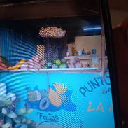 Vendo agro particular en el cerro en la calle Ferrer en 2500 usd - Img 55746646