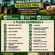 Ofertas de empleo - Img 56407350