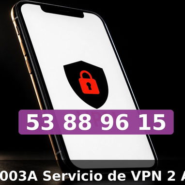 Servicio VPN 2 Anos - 2/2
