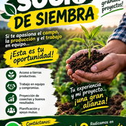 ¿Quieres ser nuestro socio? ¡Escríbeme ! - Img 57372389