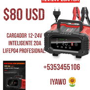 Cargador 12V/24V 20A - Img 58314028