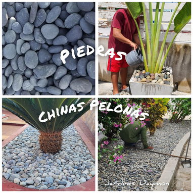 CREAMOS Y DISEÑAMOS JARDINES CON CÉSPED, PLANTAS, PIEDRAS DECORATIVAS, MACETAS Y TODO LO QUE USTED DESEE. JARDINEROS - Img 106929968