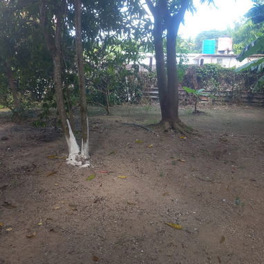 Casa en venta - 5/10