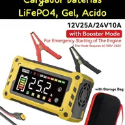 Cargador de baterías LiFePO4, Gel , ácido de 12V 25A / 24V 10A. AC 100V - 240V - Img 57877710