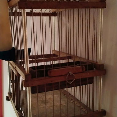 Vendo jaula de paseo con barrillas de hierro - 3/3