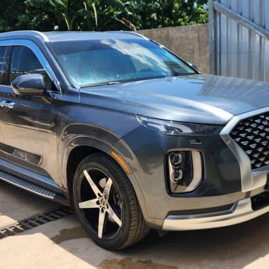 🔥  HYUNDAI PALISADE 2021 CALLIGRAPHY — - 2/5