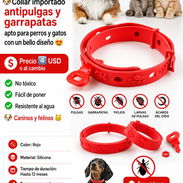 Collar Antipulgas y Garrapatas Importado para Perros y Gatos 🐶🐱 - Img 58025101