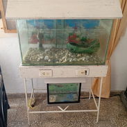 Se vende juego de peceras - Img 57326076