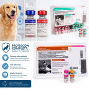 Sextavalentes vacunas para tus mascotas 50011760 - Img 56082349