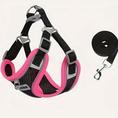 Correas con pecheras animadas !!! Para perritos o gatitos preciosas y diseños únicos - Img 102883573