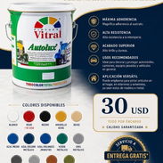 Pintura esmalte Sintético Autolux varios colores - Img 56925871