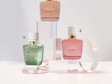 Perfumes / Fragancias para mujer / ella - Img 45770261