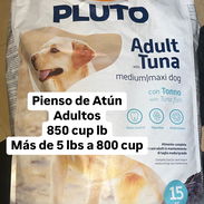 Pienso para perros adultos y cachorros, por libra, sacos de 3 kg y 20 kg - Img 55045576
