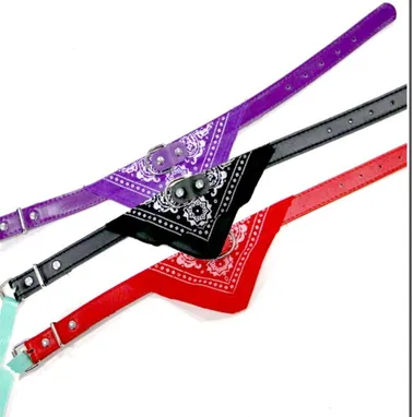 COLLARES +CORREAS + PECHERAS PARA GATOS Y PERROS - Img 78996822