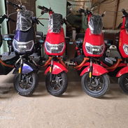 Moto maf - Img 54898833