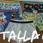 Calzoncillos de Niños - Img 55861880