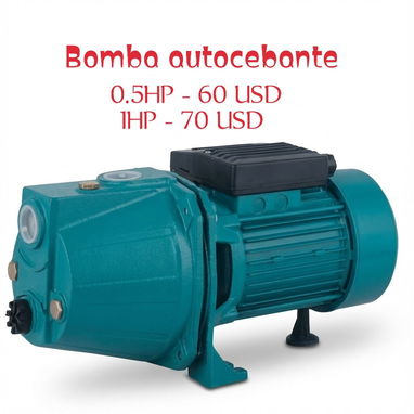 Bomba de agua y presurizador - Img 113574043