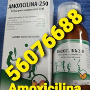 Amoxicilina Suspensión 🇨🇺 Cubano 👌🏾💪🏾🇨🇺✅ - Img 56672380