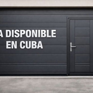 Puertas de las grandes para garage - Img 116811821