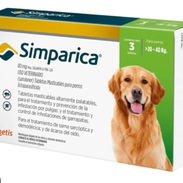Simparica - Img 54883184