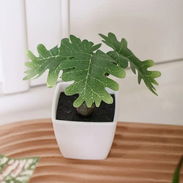 Plantita artificial - Img 57721010