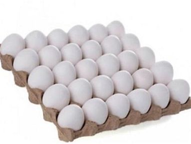 se vende el cartón de huevos - Img main-image
