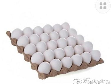 Carton de huevo - Img main-image-45714740