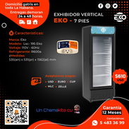 🧊 SU NEGOCIO A OTRO NIVEL 🧊 EXHIBIDOR VERTICAL EKO 7 PIES. ENTREGA GARTIS CON FACTURA Y GARANTÍA DE 1 AÑO. TL 54833699 - Img 49808664