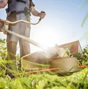 Servicios de jardinería integral - Img 50228304