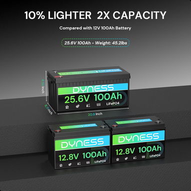 (X) Batería LiFePO4 24V 100Ah (2560Wh) Dyness con BMS 100A y Protección de Baja Temperatura – Ideal para Sistema Solar, - 2/6