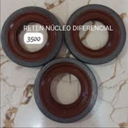 Reten del núcleo de lada - Img 54939668
