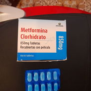 Metformina - Img 55488072