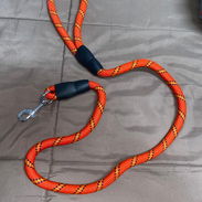 Correas para perros - Img 54931534