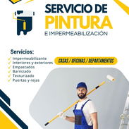 🎨 Pintor Profesional - Img 55514110