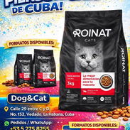 Pienso roinat para gato - Img 53619667