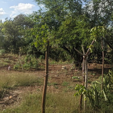 Vendo terreno en bocaciega a 3 calles del mar - Img 123220835