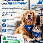 ✈️💶 ¿Viajas a España? ¡Podrías ganar un dinero extra! - Promo - Img 58292187
