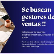Se buscan gestores - Img 56097500
