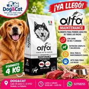 Pienso Alfa perros adultos - Img 57911505