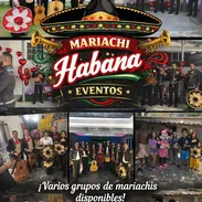 Mariachis para tus eventos 🎉   📲 Disponibles 24 horas – WhatsApp 5352669554 - Img 54606624