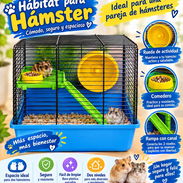 Habitat para hámster - Img 57691545