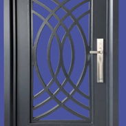 puerta de polimetales - Img 57656345