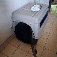 Se vende guacal para perro grande - Img 55649042
