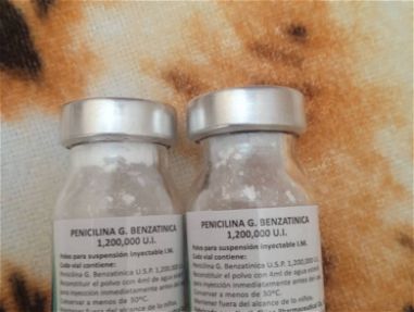 Penicilina Benzatinica y Rapilenta. Importada - Img 64526108