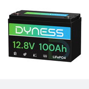Batería LiFePO4 Dyness AR1.2 de 12 Vy 100 Ah con protección contra baja temperatura - Img 56860296