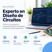 Experto en Diseño de Circuitos - Img 57495220